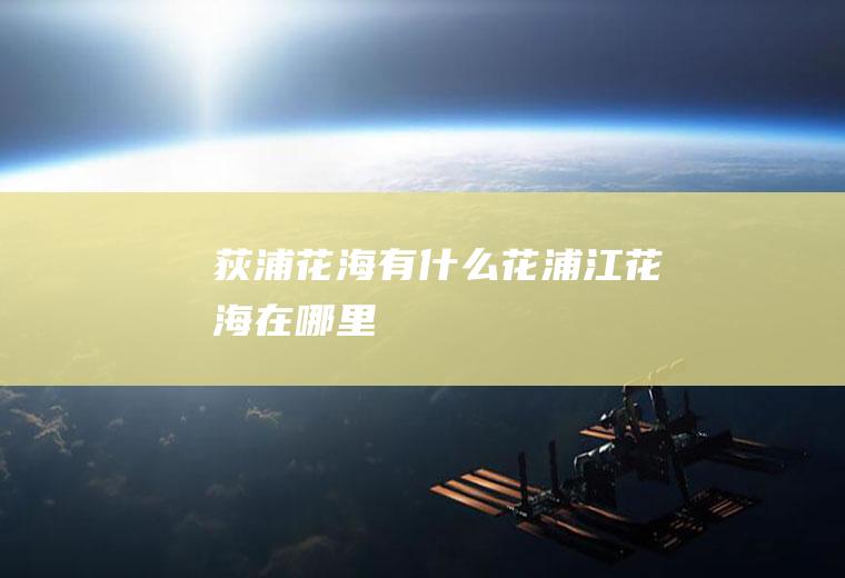荻浦花海有什么花浦江花海在哪里