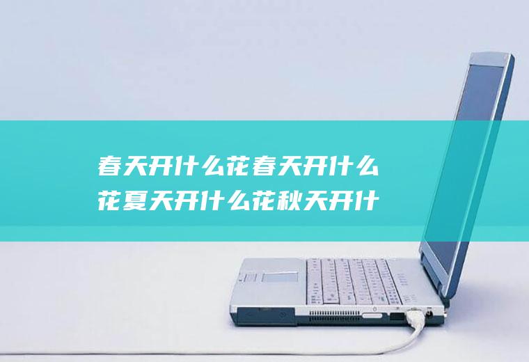 春天开什么花春天开什么花夏天开什么花秋天开什么花冬天开什么花