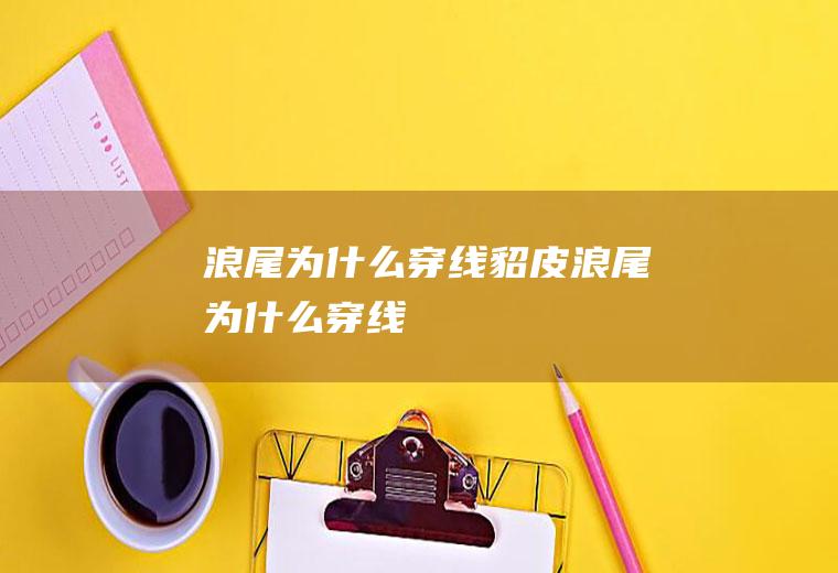 浪尾为什么穿线貂皮浪尾为什么穿线