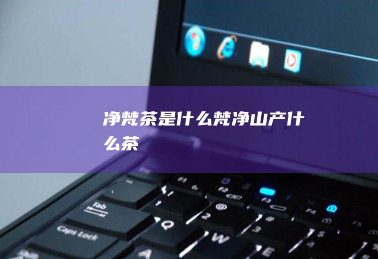 净梵茶是什么梵净山产什么茶