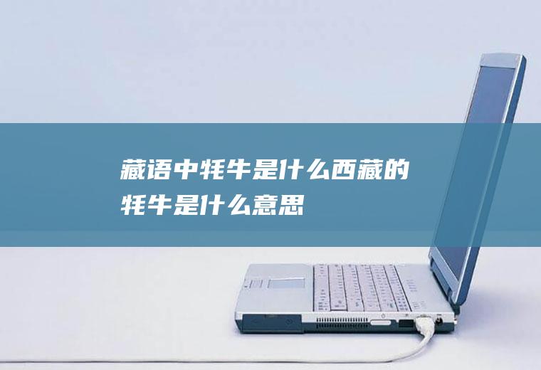 藏语中牦牛是什么西藏的牦牛是什么意思