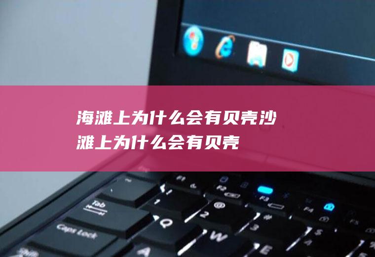海滩上为什么会有贝壳沙滩上为什么会有贝壳