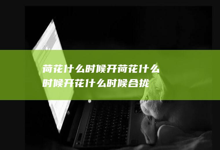 荷花什么时候开荷花什么时候开花什么时候合拢