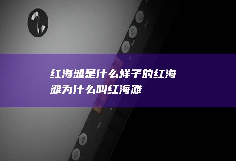 红海滩是什么样子的红海滩为什么叫红海滩