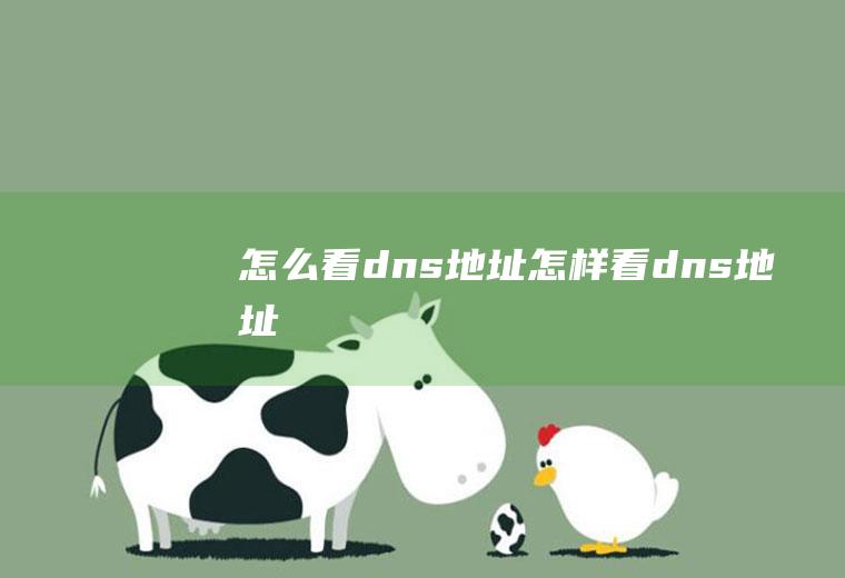 怎么看dns地址怎样看dns地址