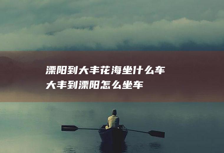 溧阳到大丰花海坐什么车大丰到溧阳怎么坐车