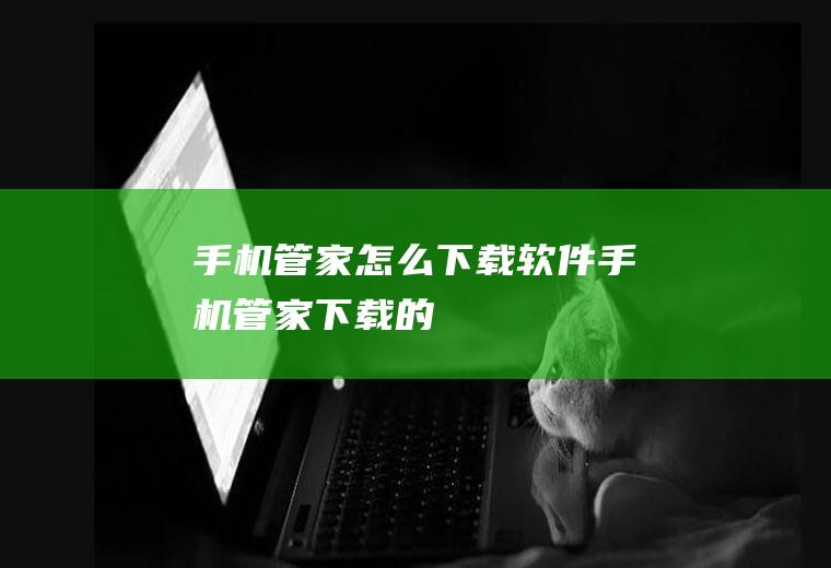 手机管家怎么下载软件手机管家下载的