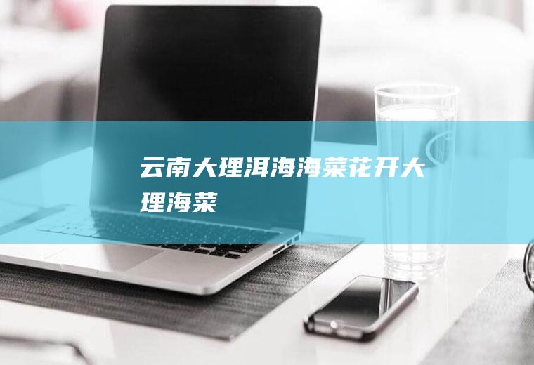 云南大理洱海海菜花开大理海菜