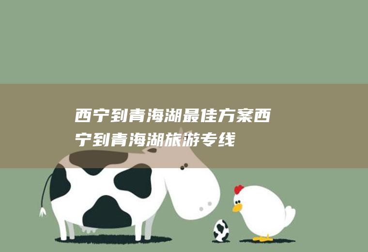 西宁到青海湖最佳方案西宁到青海湖旅游专线