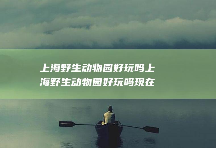 上海野生动物园好玩吗上海野生动物园好玩吗现在