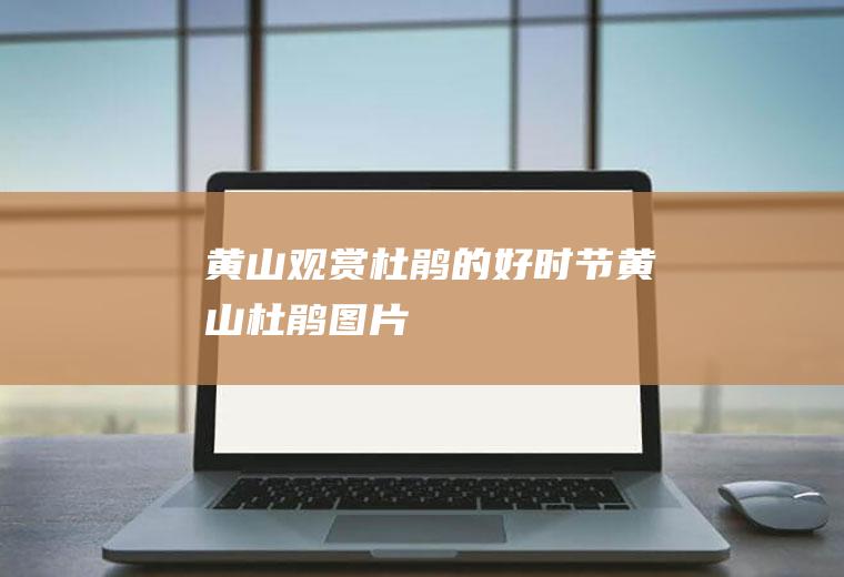 黄山观赏杜鹃的好时节黄山杜鹃图片