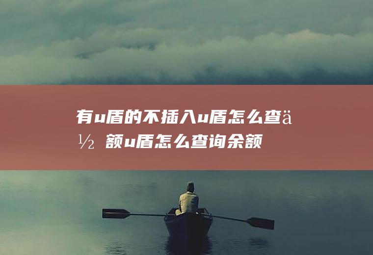 有u盾的不插入u盾怎么查余额u盾怎么查询余额