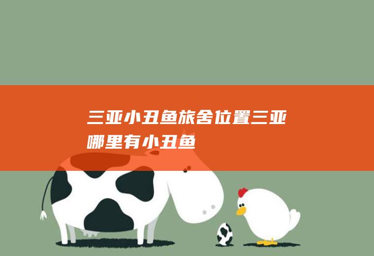 三亚小丑鱼旅舍位置三亚哪里有小丑鱼