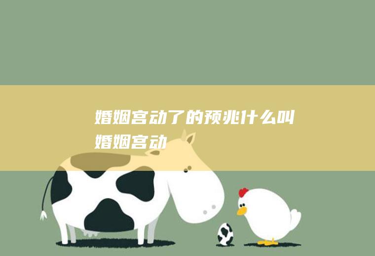 婚姻宫动了的预兆什么叫婚姻宫动