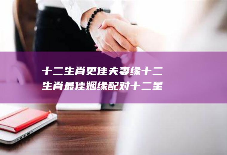 十二生肖更佳夫妻缘十二生肖最佳姻缘配对十二星座