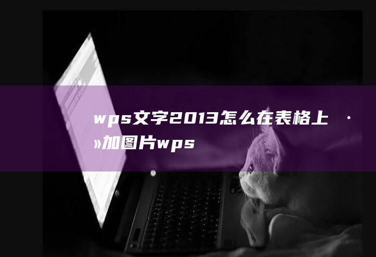 wps文字2013怎么在表格上添加图片wps表格怎么添加图片和文字