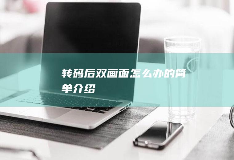转码后双画面怎么办的简单介绍