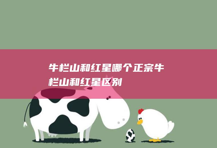 牛栏山和红星哪个正宗牛栏山和红星区别
