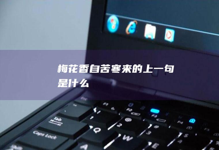 梅花香自苦寒来的上一句是什么