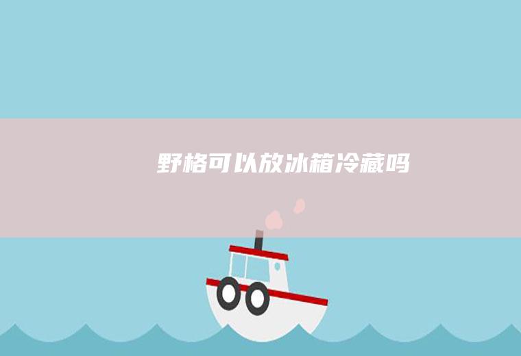 野格可以放冰箱冷藏吗