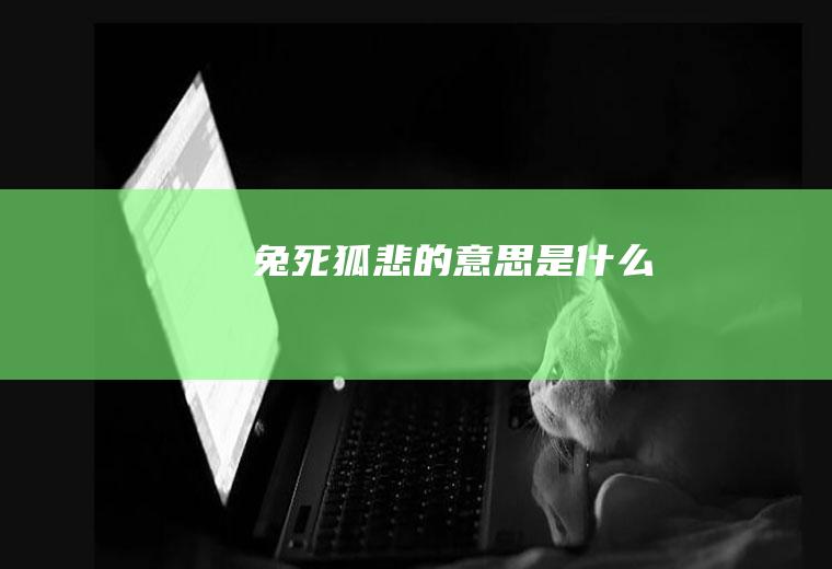 兔死狐悲的意思是什么