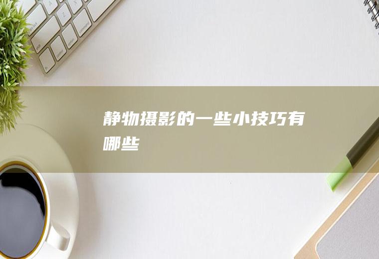 静物摄影的一些小技巧有哪些