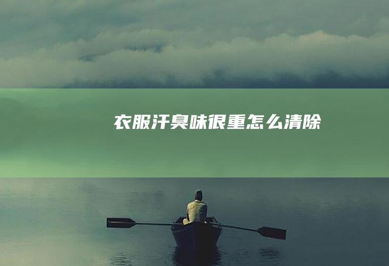 衣服汗臭味很重清除