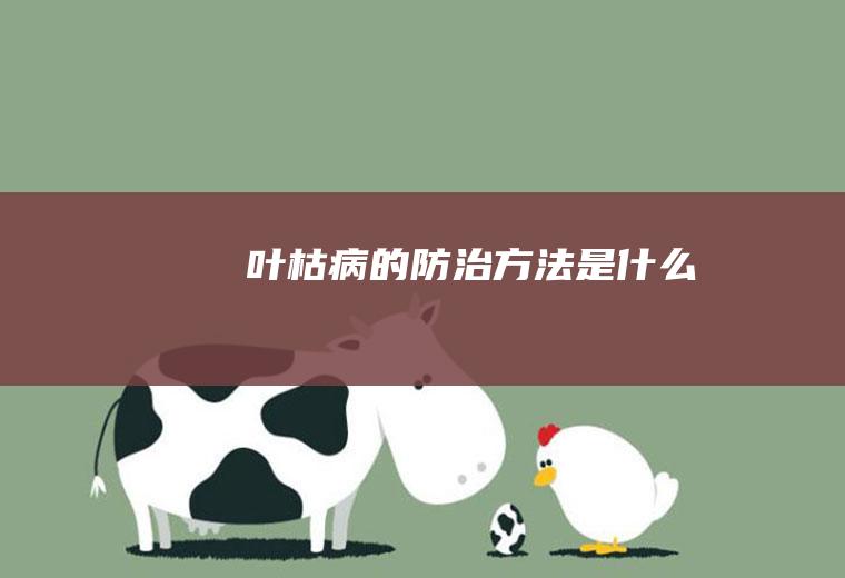 叶枯病的防治方法是什么
