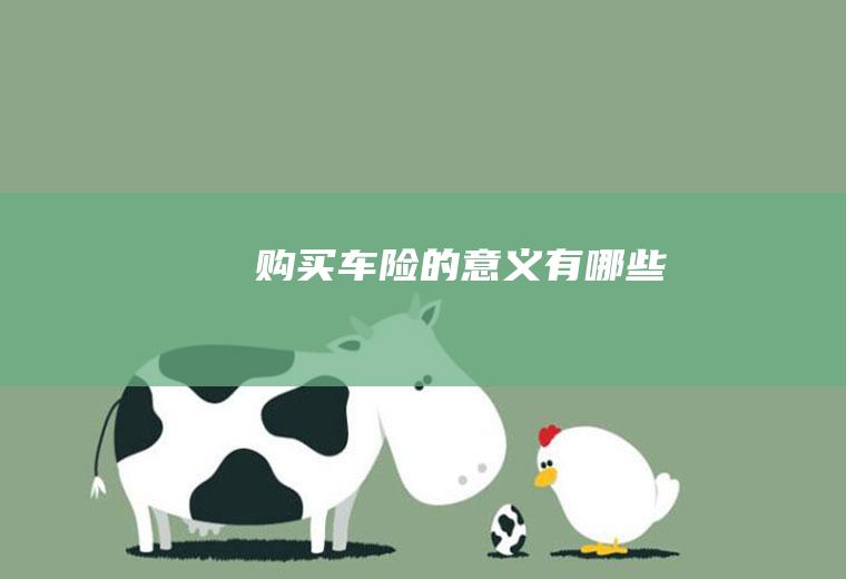 购买车险的意义有哪些