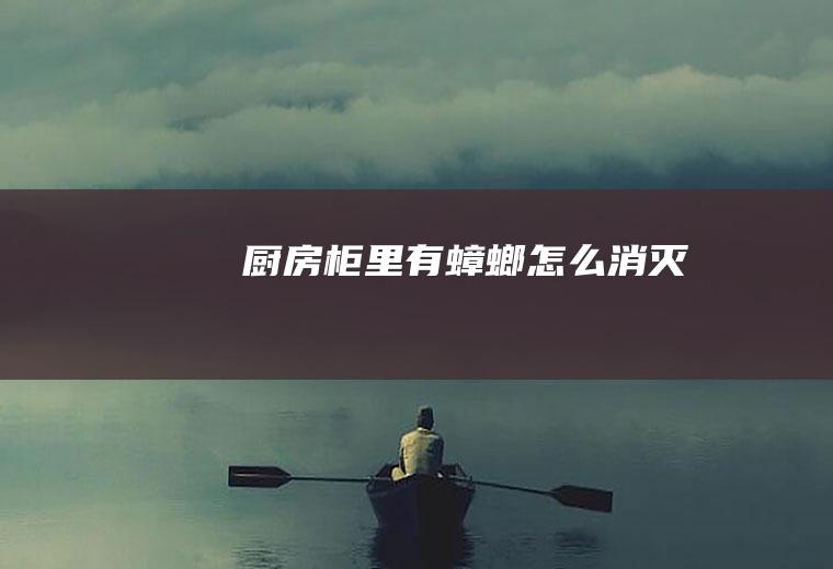厨房柜里有蟑螂怎么消灭
