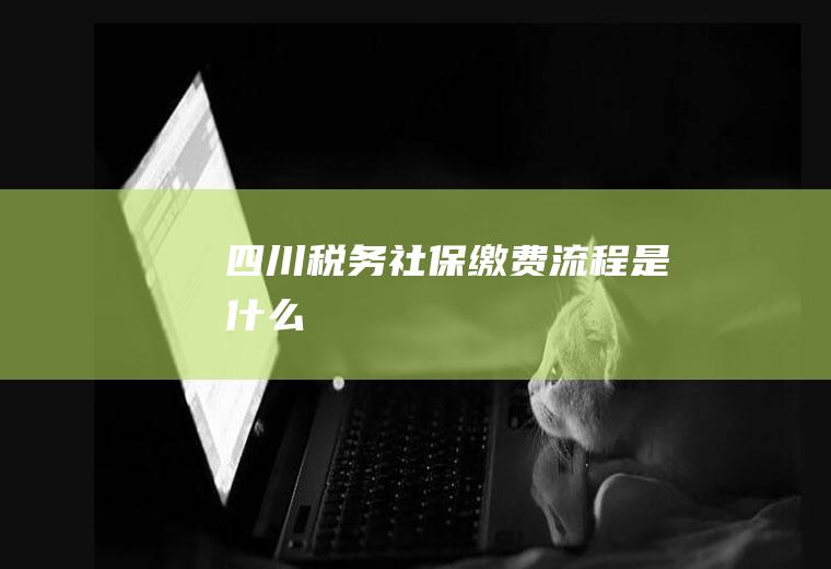 四川税务社保缴费流程是什么