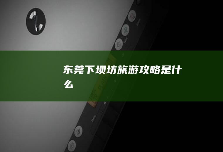 东莞下坝坊旅游攻略是什么