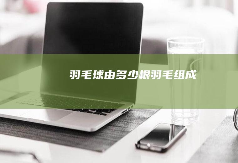 羽毛球由多少根羽毛组成