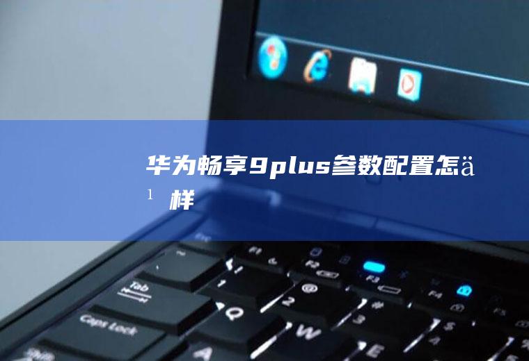 华为畅享9plus参数配置怎么样