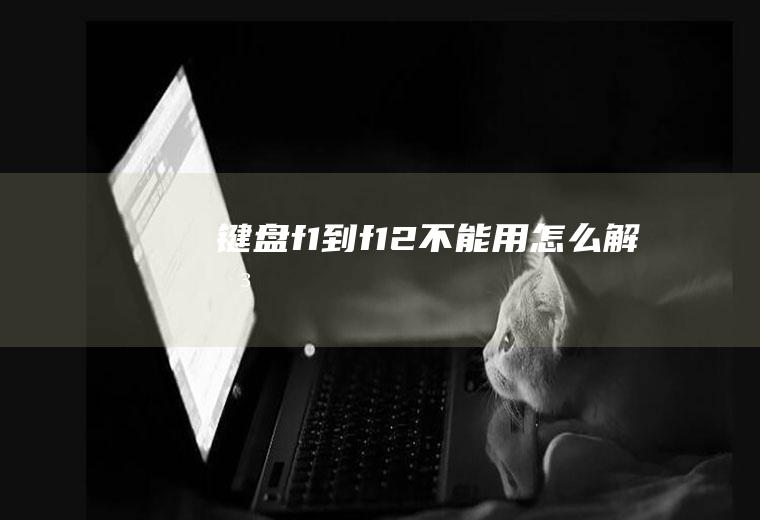 键盘f1到f12不能用怎么解决