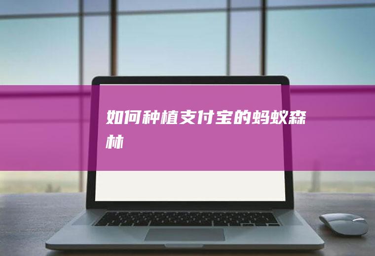 如何种植支付宝的蚂蚁森林