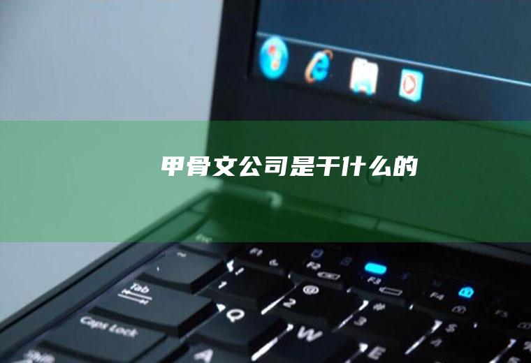 甲骨文公司是干什么的