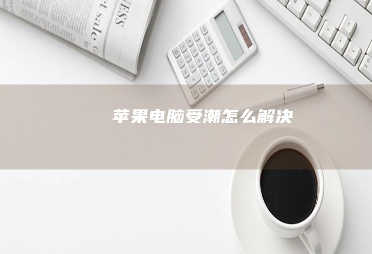 苹果电脑受潮怎么解决