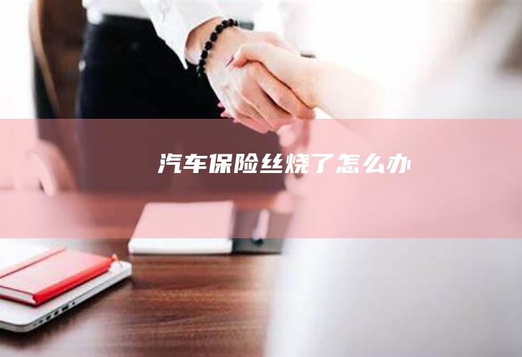 汽车保险丝烧了怎么办