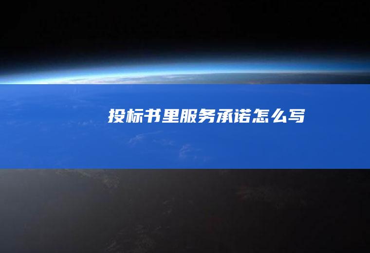 投标书里服务承诺怎么写