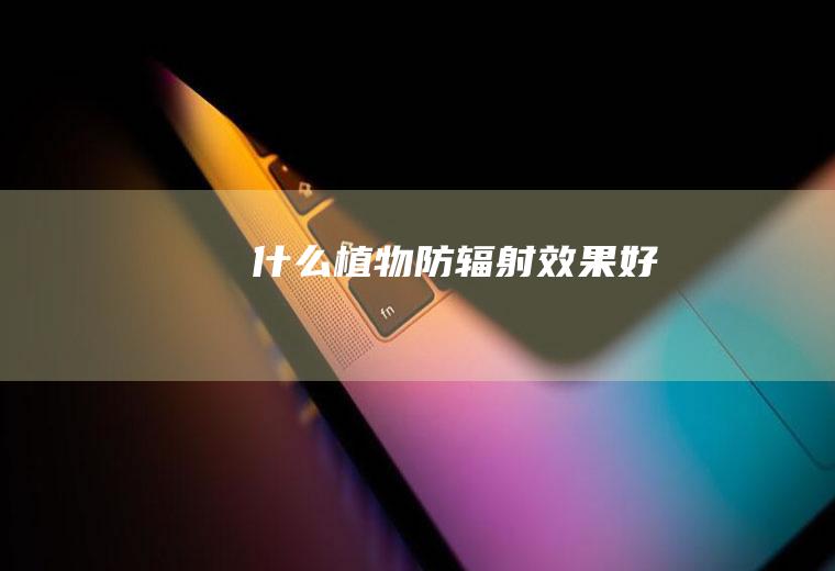 什么植物防辐射效果好