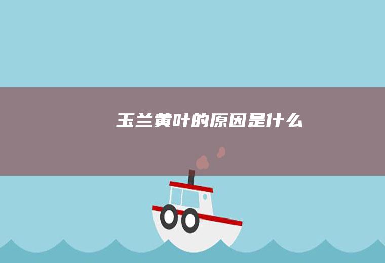 玉兰黄叶的原因是什么