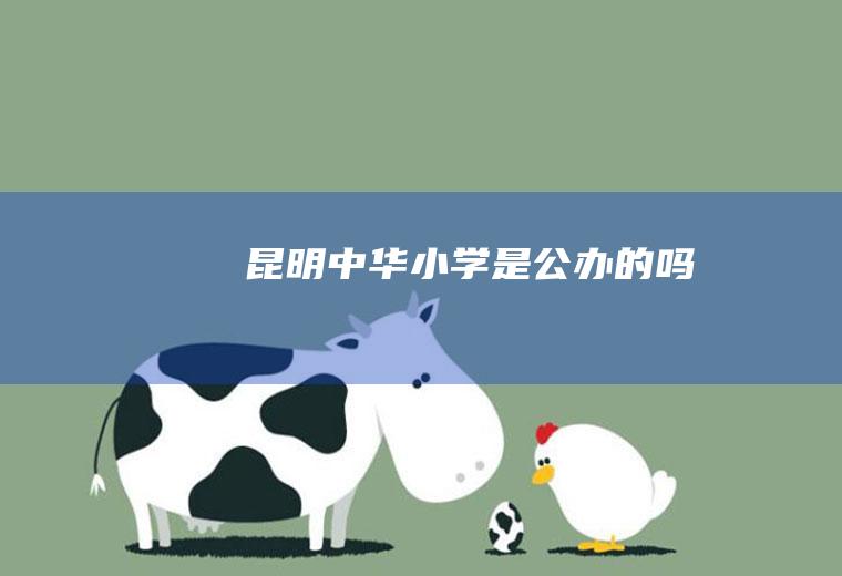 昆明中华小学是公办的吗