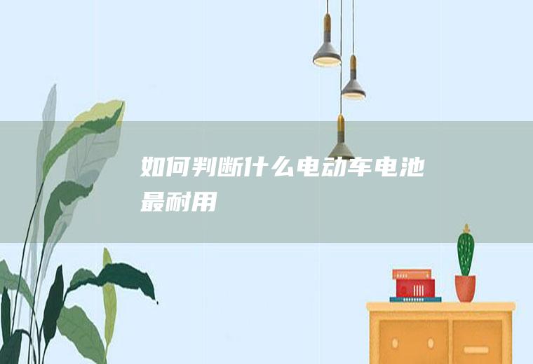 如何判断什么电动车电池最耐用
