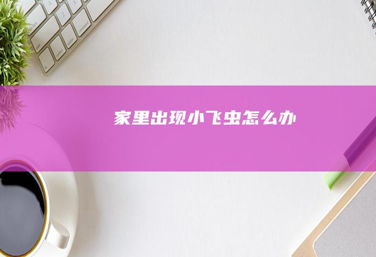 家里出现小飞虫怎么办