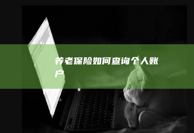 养老保险如何查询个人账户