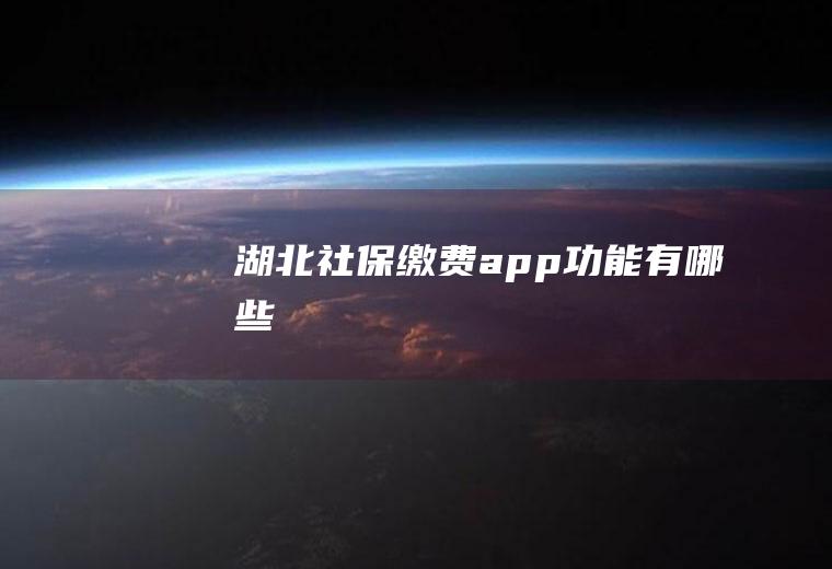 湖北社保缴费app功能有哪些