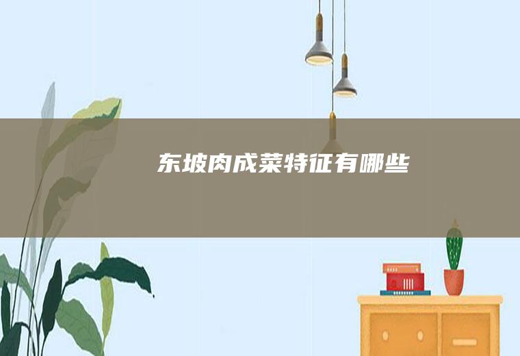 东坡肉成菜特征有哪些