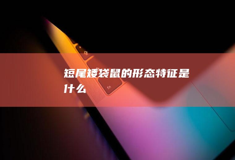 短尾矮袋鼠的形态特征是什么