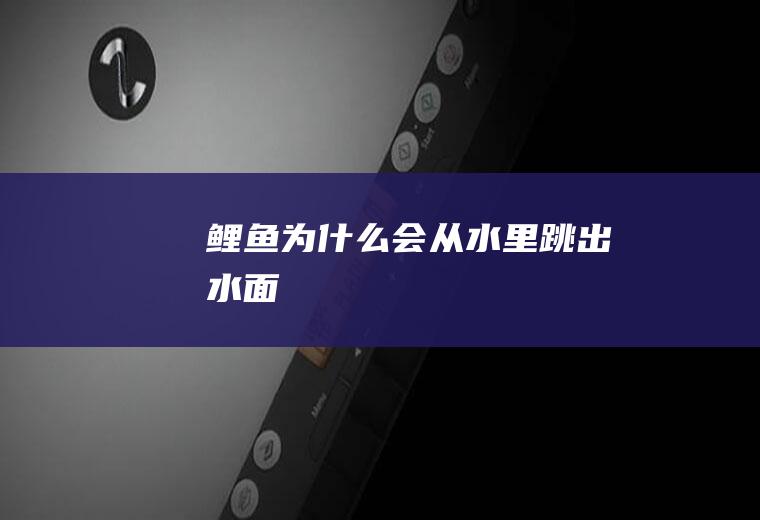 鲤鱼为什么会从水里跳出水面